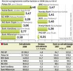 Wynagrodzenia bankierów rosły w 2008 roku.  Banki miały rekordowy zysk w zeszłym roku. W 2007 r. wynik też był imponujący. Nie dziwi więc, że rosły też pensje bankowców. 