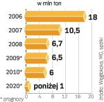 Problem z eksportem zmieni profil działania Węglokoksu. Główny eksporter węgla może przestawić się na jego import. ∑