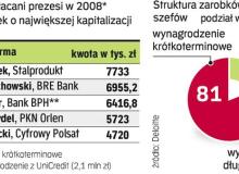 W porównaniu płac prezesów liczy się nie tylko wielkość firmy. Ważna jest też samodzielność szefa i jego wpływ na strategię. Bigger
