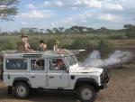 Serengeti: Homo sapiens w swojej klatce