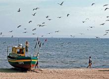 Jesienią bałtyckie plaże należą do spacerowiczów, rybaków i mewBigger