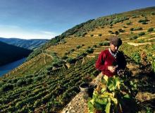 Tarasy winnic nad rzeką Douro w Portugalii to jeden z najpiękniejszych regionów winnych w EuropieBigger