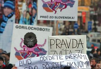 Słowacja zajmuje się Gorylem