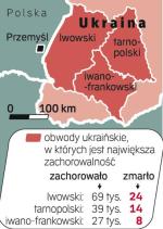 Ministerstwo Zdrowia Ukrainy nadal nie wyodrębnia ofiar wirusa A/H1N1 z ogólnej liczby chorych, która według ostatnich szacunków sięgnęła już 185 tysięcy osób.