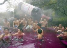 Beaujolais nouveau w japońskim mieście Hakone (prefektura Kanagawa)Bigger