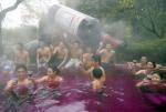 Beaujolais nouveau w japońskim mieście Hakone (prefektura Kanagawa)