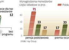 Programy akcyjne nie zdobyły jeszcze w Polsce dużej popularności. W Stanach Zjednoczonych pensja podstawowa to mniej niż 1/3 łącznego wynagrodzenia menedżerów wyższych szczebli. Resztę otrzymują w postaci premii i opcji na akcje własnej firmy. Bigger