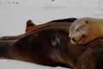 fot. Roubicek