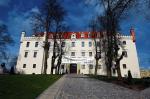Zamek w Rynie niewiele ustępował wielkością malborskiemu