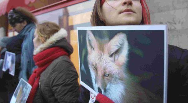 Jeden z polskich protestów przeciwko noszeniu futer