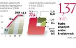 Prognozy są dobre. Po zmniejszeniu akcji kredytowej na przełomie 2008 i 2009 r. w ostatnich kwartałach nastąpiło ożywienie. 