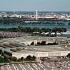 Pentagon
