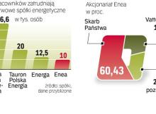 Enea jest najmniejszym spośród czterech koncernów energetycznych kontrolowanych przez rząd. Jako pierwsza zyskała prywatnego właściciela. Inwestorem branżowym w spółce jest Vattenfall. W 2009 r. Szwedzi odrzucili jednak propozycję odkupienia akcji Enei od Skarbu Państwa. Bigger