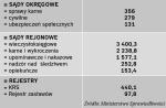 Najważniejsze grupy spraw w 2009 (w tys.)