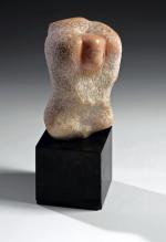 Alina Szapocznikow Tors różowy, marmur różowy portugalski,  20 x 12 x 12, 1966 – 1967, kolekcja prywatna,  fot. Galeria Starmach