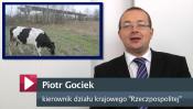 Piotr Gociek:<br> Oby rząd nie zmarnował wysiłku władz lokalnych