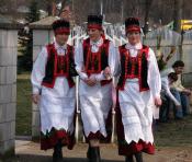 Palmy, mioduszki i fafernuchy