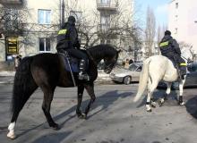 Konie w warszawskiej policji służą od 38 latBigger