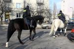 Konie w warszawskiej policji służą od 38 lat