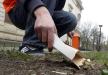 Testy DNA na wojnie  z psimi odchodami 