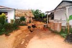 Gospodarstwo w Viñales