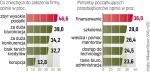 W badaniach mierzących gotowość do założenia własnej firmy  Polacy wypadają najlepiej w Europie. Gorzej z konkretami. 