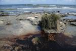 Zanieczyszczone plaże Luizjany