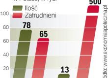 W Polsce sektor ekonomii społecznej zatrudnia ponad 0,5 mln osób. W całej Unii to ponad 7 mln pracowników. Bigger