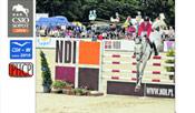 CSIO 2010 (pdf 609,8 KB)