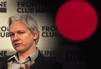 Julian Assange kandydatem do senatu