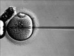 Zapłodnienie in vitro