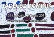 Tadeusz Dominik w DESIE Unicum