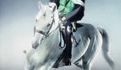 X Warsaw Horse Days <br>(pdf 718 kB)