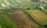 <b>BAROMETR CEN DZIAŁEK</b><br> Ile za grunty budowlane