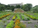 Przekierowanie, Edible Park by Nils Norman, photo courtesy Stroom Den Haag