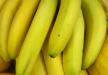 Banany Cavendish na wymarciu. Wkrótce zabraknie bananów?