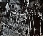 Edward HARTWIG