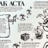 Atak ACTA