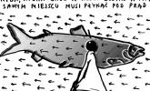 Rysuje Janusz Kapusta