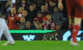 Kot na Anfield Road
