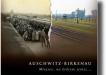 Historia transportu Żydów węgierskich na fotografii