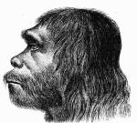 Pierwsza rekonstrukcja wyglądu neandertalczyka. Fot. Hermann Schaaffhausen