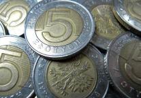 Deficyt po styczniu wykonany w kilkunastu procentach