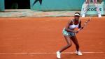 Venus Williams. Fot. y.caradec