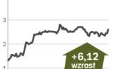 Asbis zarobił w I kwartale  proc. więcej niż rok wcześniej
