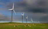 Farmy wiatrowe nie takie straszne