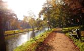 Zieleń miejska: zaniedbana i zaśmiecona