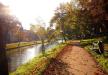 Zieleń miejska: zaniedbana i zaśmiecona