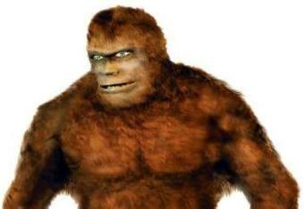 Uczeni rozwiążą zagadkę Yeti