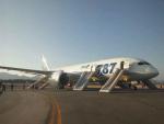 Dreamliner po awaryjnym lądowaniu